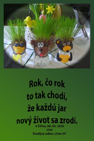 DU_FK_7B_zaver
