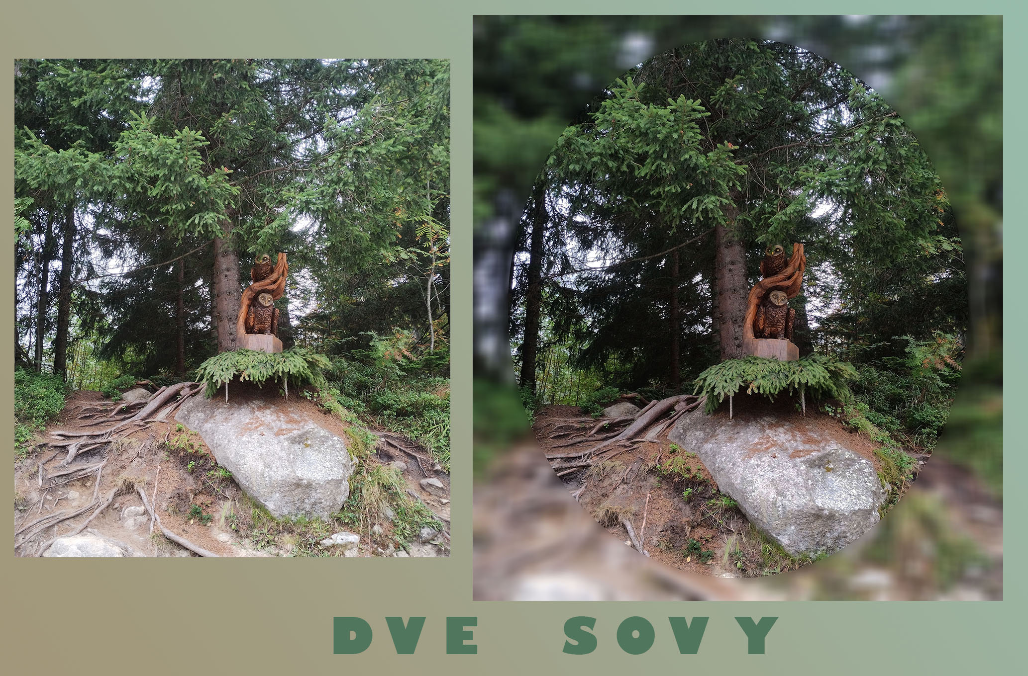 Dve sovy_fin1 