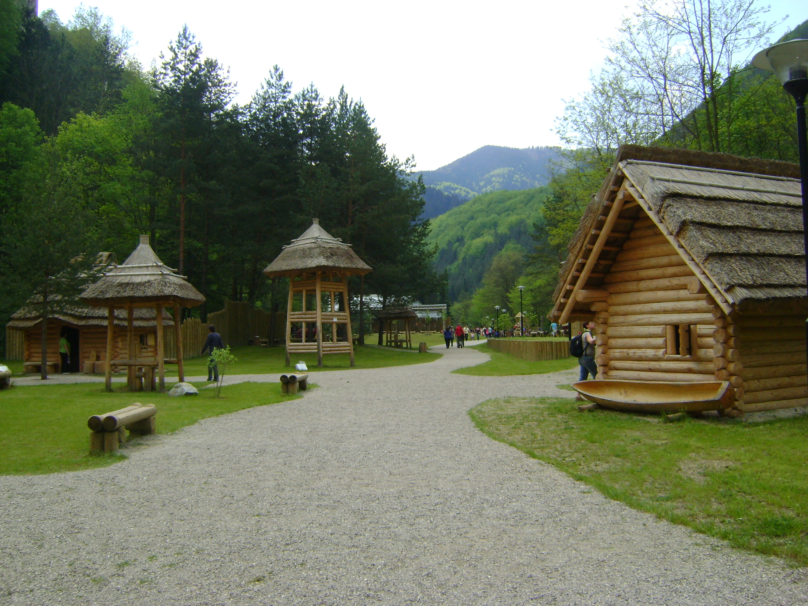 DSC05581
