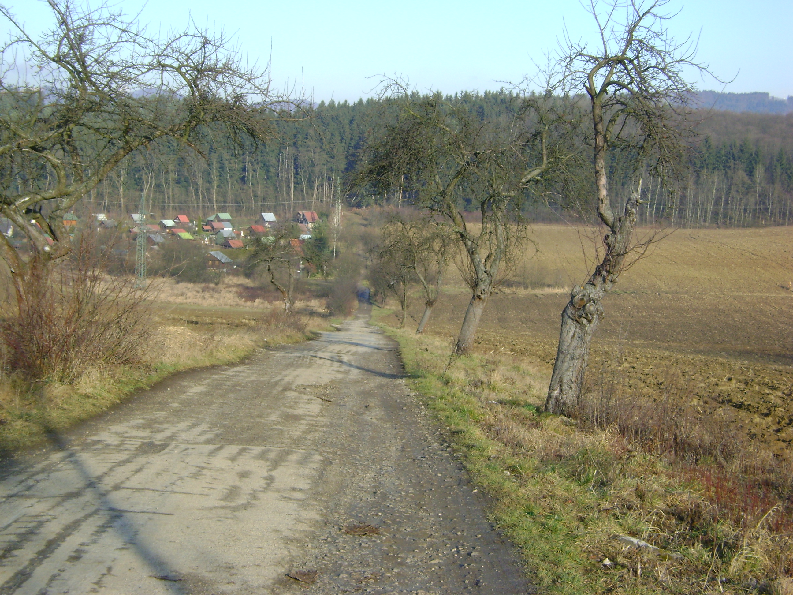DSC05284