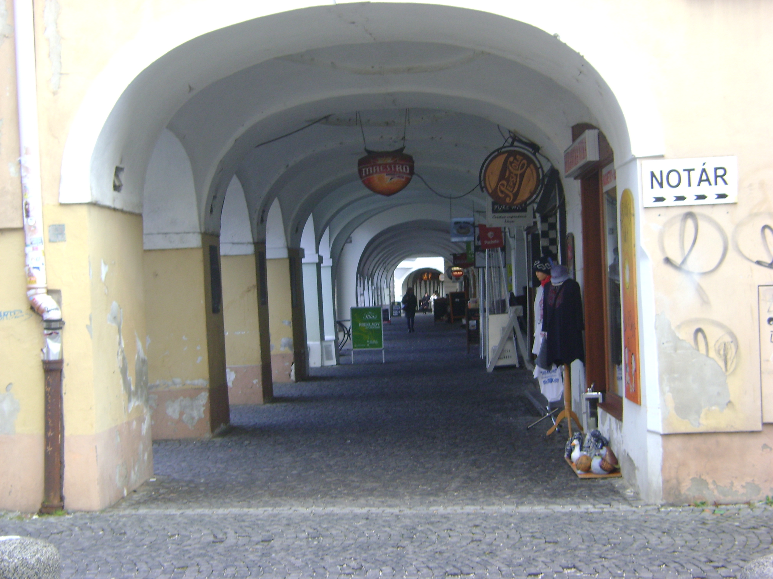 DSC08231